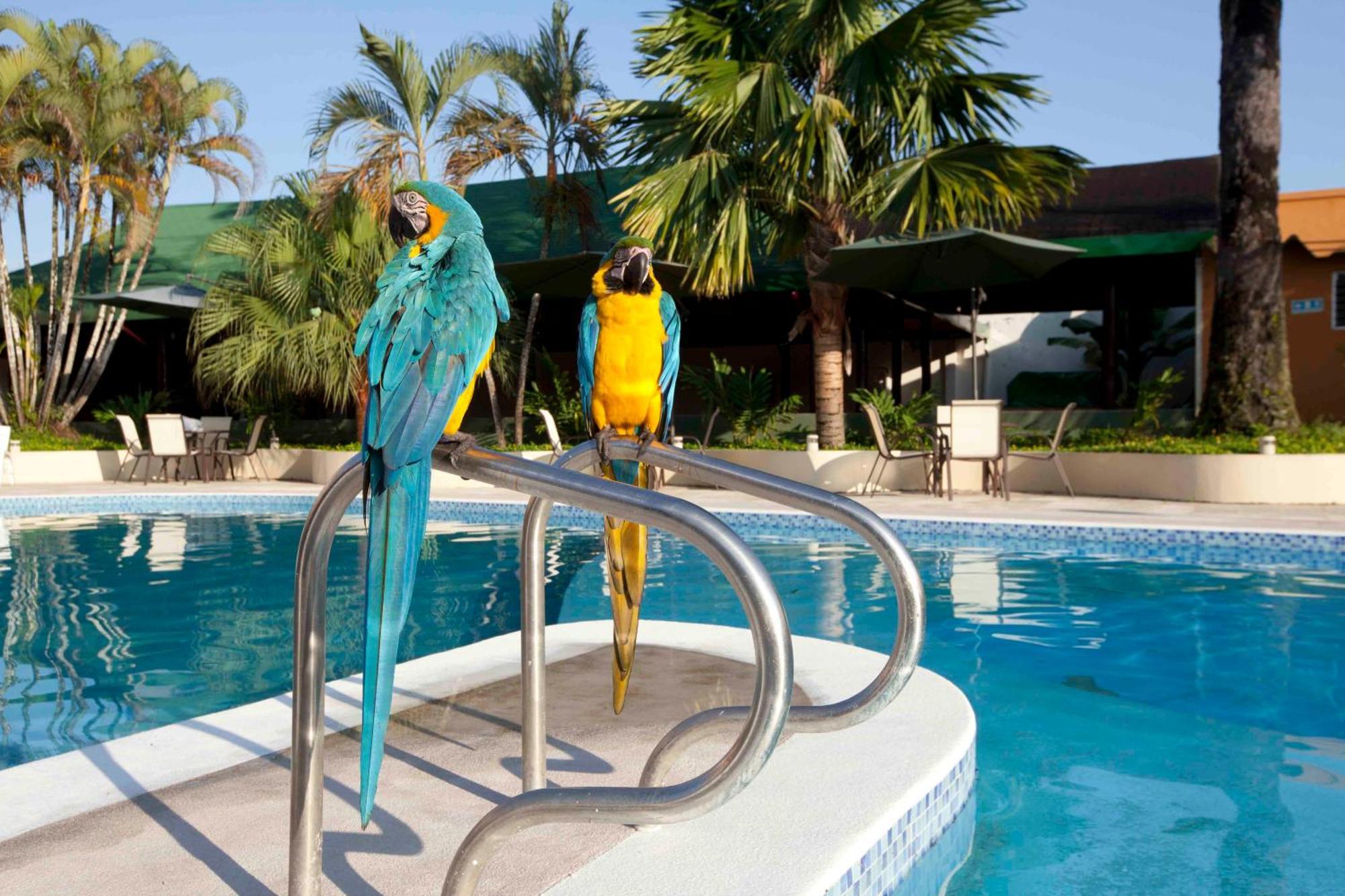 Hotel Anaconda Leticia Buitenkant foto